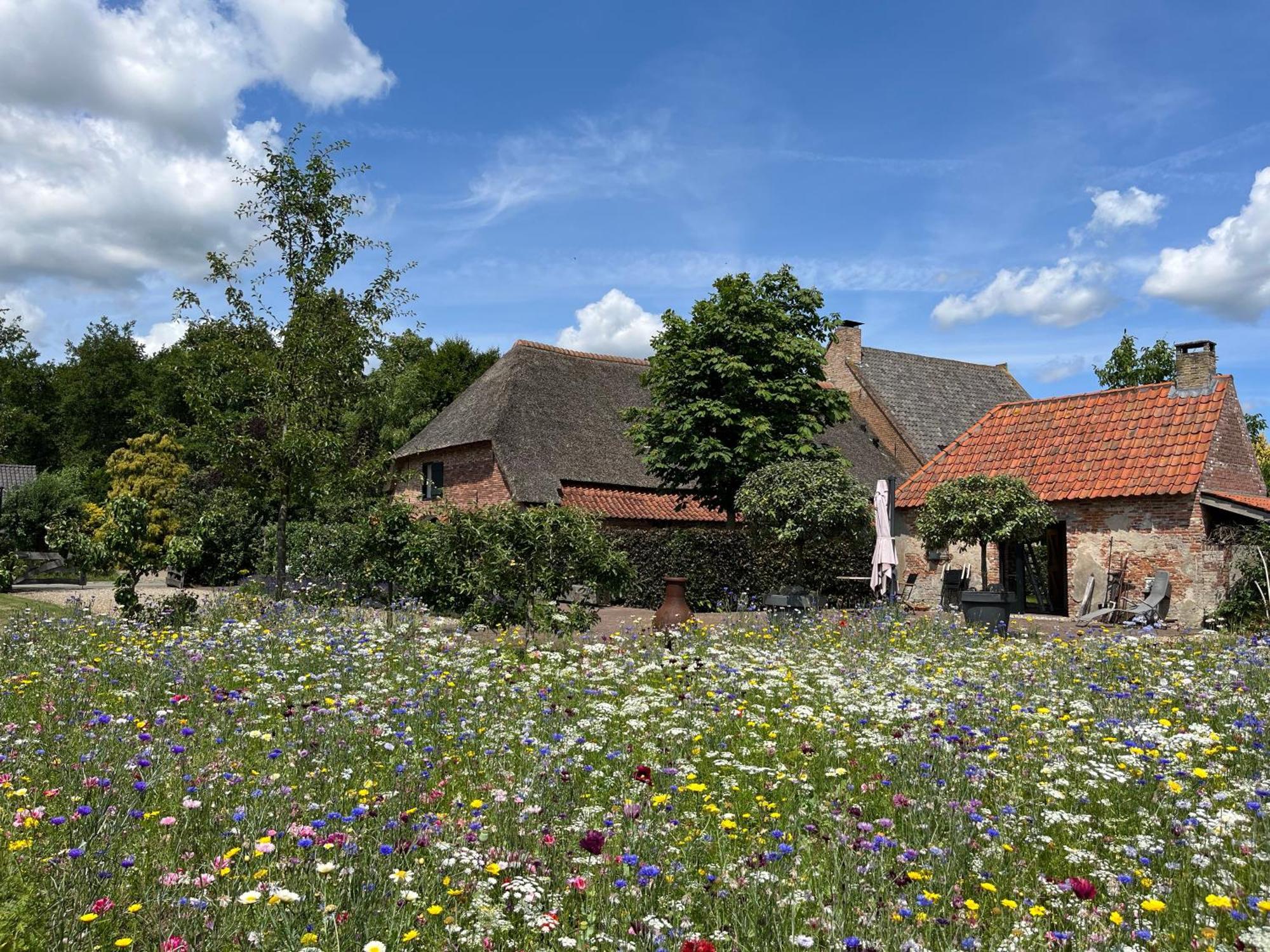 Den Eijngel Bed And Breakfast Boxtel Buitenkant foto