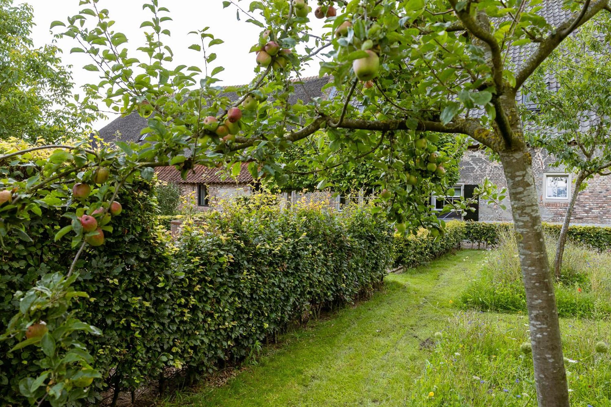 Den Eijngel Bed And Breakfast Boxtel Buitenkant foto